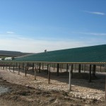 Доставка на покривни термопанели с фолио на кравеферма в с. Драгомъж-3